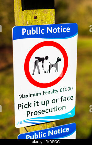 Dog Poo Zeichen öffentliche Bekanntmachung Höchststrafe feine Gesicht Verfolgung UK abholen Stockfoto