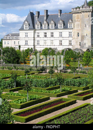 Reich verzierte Gemüsegarten in Château de Villandry. Stockfoto