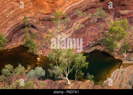 Hamersley Gorge, Karijini-Nationalpark, Pilbara, Western Australia, Australia Stockfoto