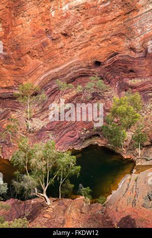 Hamersley Gorge, Karijini-Nationalpark, Pilbara, Western Australia, Australia Stockfoto