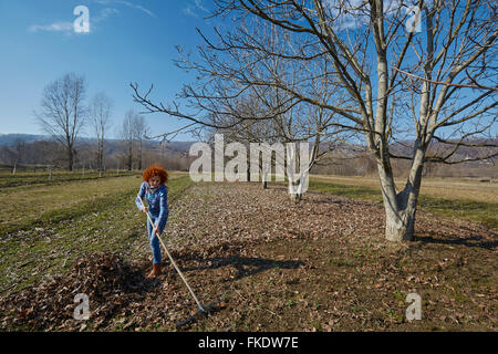 Landwirt Frau sammeln von Laub mit einer Harke Frühjahrsputz im Obstgarten Stockfoto