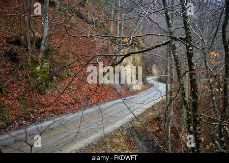 Landschaft mit einer Straße durch den Wald an einem nebligen Tag, Vorfrühling Stockfoto