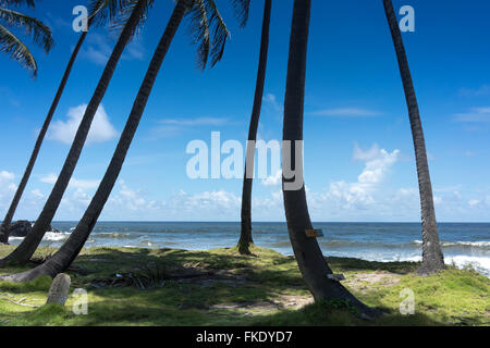 Malerische Aussicht auf exotischen Strand mit Palmen, Trinidad, Trinidad und Tobago Stockfoto