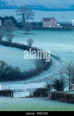 einem frostigen Wintermorgen in der Nähe von Milborne Port, Somerset, England, UK Stockfoto