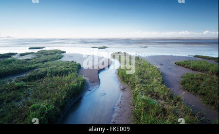 Coastal Marsh, Flut. Steart Sümpfe. Somerset. VEREINIGTES KÖNIGREICH. Stockfoto