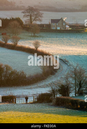einem frostigen Wintermorgen in der Nähe von Milborne Port, Somerset, England, UK Stockfoto