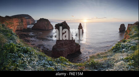 Ladram Bay, Sonnenaufgang. Juraküste Welterbe-Aufstellungsort. Devon. VEREINIGTES KÖNIGREICH. Stockfoto