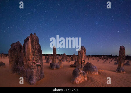 die Pinnacles in der Nacht, Kalkstein-Formationen, Nambung National Park, in der Nähe von Cervantes, Western Australia Stockfoto