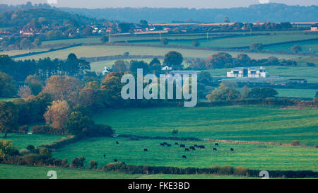 Herbstfärbung im Tal rund um Milborne Wick, Somerset, England, UK Stockfoto