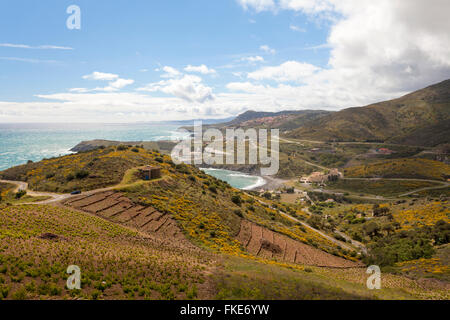 Blick auf Weinberge in rot Küste, Llenguadoc-Rosello, Frankreich. Stockfoto