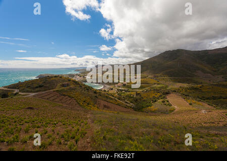 Blick auf Weinberge in rot Küste, Llenguadoc-Rosello, Frankreich. Stockfoto