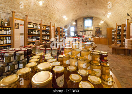 Regionale Enoteca des Schlosses Grinzane Cavour, in der Nähe von Barolo, Wein-Route, Langhe Region Cuneo, Piemont Italien Stockfoto