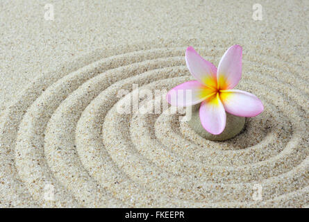 Frangipani Blume auf einem Zen Steinen mit Sand Hintergrund Stockfoto