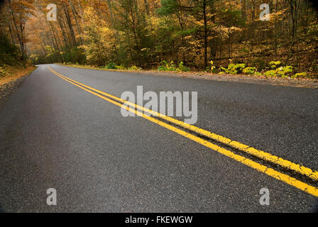 Smoky Mountain Road im Herbst Regen Stockfoto