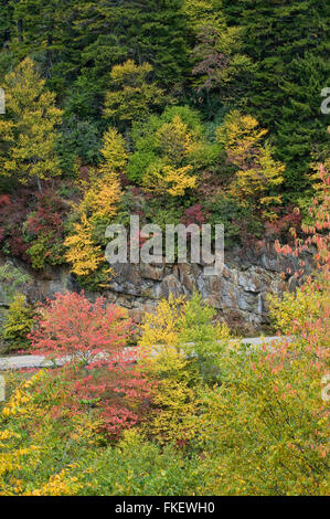 Smoky Mountain Road im Frühherbst Stockfoto