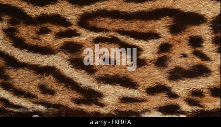 Jaguar-Pelz Stockfoto