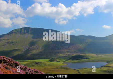 Landschaft um den See Cregennan und Cadair Idris Gwynedd Wales Stockfoto