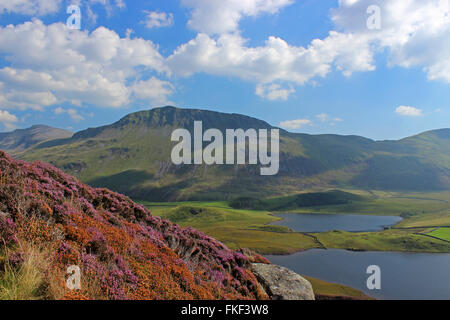 Landschaft um den See Cregennan und Cadair Idris Gwynedd Wales Stockfoto