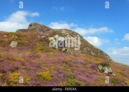 Landschaft um den See Cregennan und Cadair Idris Gwynedd Wales Stockfoto