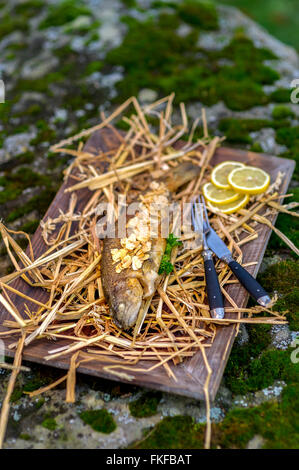 gegrillte Forelle Stockfoto