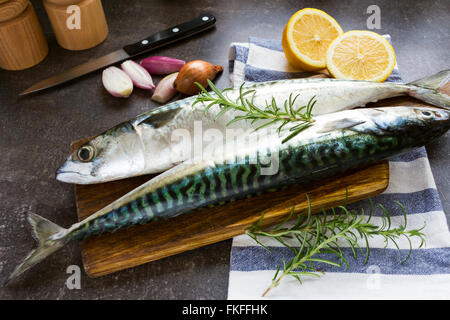 Frische Makrele Fisch ideal für Grill und Grill party Stockfoto