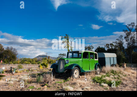 Oldtimer und Anhänger mit Magnolia Baumwachstum bei teilweise bewölktem Himmel. Stockfoto