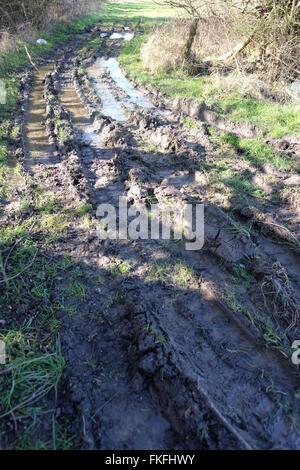 überflutet und tief ausgefahrenen Wanderweg Stockfoto