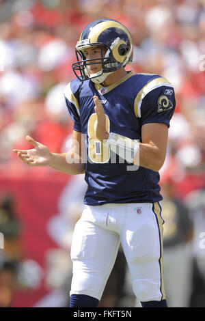 Tampa, Florida, Vereinigte Staaten von Amerika. 24. Oktober 2010. 24. Oktober 2010; Tampa, FL, USA; St. Louis Rams quarterback Sam Bradford (8) während der Rams-Spiel gegen die Tampa Bay Buccaneers im Raymond James Stadium. © Scott A. Miller/ZUMA Draht/Alamy Live-Nachrichten Stockfoto