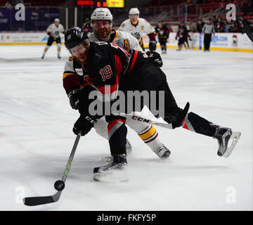 Charlotte Checkers LW Anthony Camara (19) während das AHLSpiel
