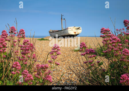 Ein altes Schiff und Blumen am Strand von Aldeburgh, Suffolk Stockfoto