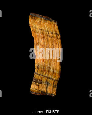 Tiger Eye Edelstein auf schwarzem Hintergrund isoliert Stockfoto