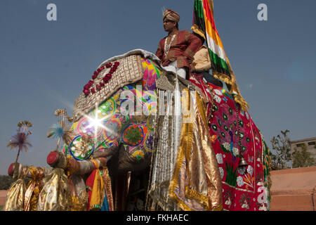 Während der Elefant Festival während Holi, hinduistische Feier in Jaipur, Rajasthan, Indien, Asien. Stockfoto