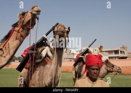 Während der Elefant Festival während Holi, hinduistische Feier in Jaipur, Rajasthan, Indien, Asien. Stockfoto