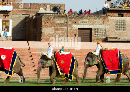 Während der Elefant Festival während Holi, hinduistische Feier in Jaipur, Rajasthan, Indien, Asien. Stockfoto