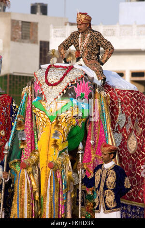 Während der Elefant Festival während Holi, hinduistische Feier in Jaipur, Rajasthan, Indien, Asien. Stockfoto