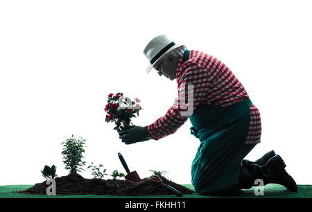 ein kaukasischer Mann Gärtner Mann Gartenarbeit Silhouette isoliert auf weißem Hintergrund Stockfoto