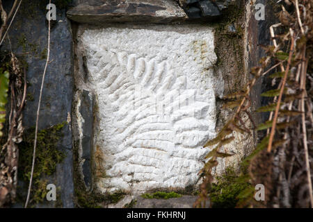 Fossil eines unbekannten Pflanze auf einem großen Felsen im englischen Wald, Illustration oder Hintergrund mit den Themen Natur, geolog Stockfoto