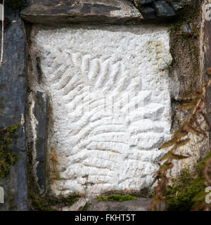 Fossil eines unbekannten Pflanze auf einem großen Felsen im englischen Wald, Illustration oder Hintergrund mit den Themen Natur, geolog Stockfoto