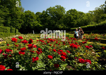 Der niederländische Rosengarten bei Solliden Palast, Borgholm, Öland, Südost-Schweden, Schweden, Skandinavien, Europa Stockfoto