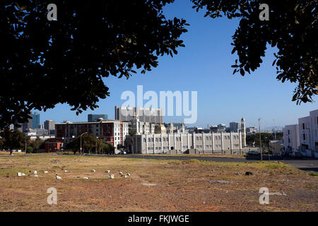 Ein Stück von unbebauten Grundstücken im Verwendungszweck genannt District Six. Das Gebiet ist für Sanierung vorgesehen. Stockfoto