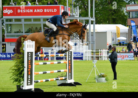 Springreiten im Royal Highland Show 2015, Ingliston, Edinburgh, Scotland, UK Stockfoto