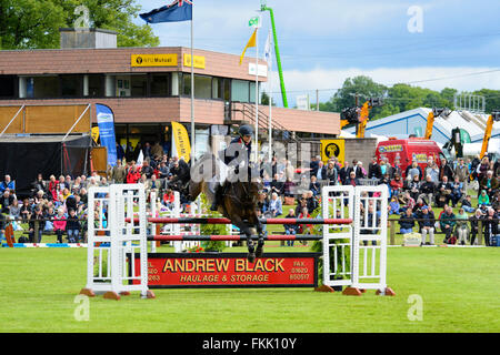 Springreiten im Royal Highland Show 2015, Ingliston, Edinburgh, Scotland, UK Stockfoto