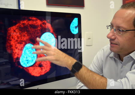 Rio De Janeiro, Brasilien. 9. März 2016. Forscher Stevens Rehen vom Instituto D· Oder mit einem Mikroskop-Image um zu erklären, wie das Zika-Virus (rot) menschliche Neuronen (blau) in seinem Büro in Rio De Janeiro, Brasilien, 9. März 2016 angreifen kann. Rehen, haben seine Untersuchungen der Fall klar gemacht: er ist überzeugt, dass es im kausalen Zusammenhang zwischen der Zika-Virus und Hirnschäden. Foto: GEORG ISMAR, Dpa/Alamy Live News Stockfoto