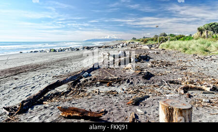 Treibholz an einem einsamen Strand Stockfoto