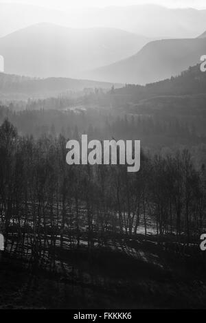 Sonnenaufgang im Wald von Lynwilg, Cairngorms in den schottischen Highlands, UK. Zusätzlichen Maserung und Farbe Styling. Stockfoto