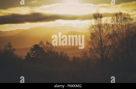 Sonnenaufgang im Wald von Lynwilg, Cairngorms in den schottischen Highlands, UK. Zusätzlichen Maserung und Farbe Styling. Stockfoto