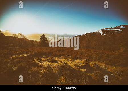 Sonnenaufgang über den Wald bei Lynwilg, Cairngorms in den schottischen Highlands, UK. Zusätzlichen Maserung und Farbe Styling. Stockfoto