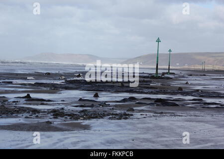 Borth, Ceredigion, Wales. 9. März 2016. UK-Wetter: Einen versteinerten Wald wieder erscheint nach den letzten Stürme & Treibsand, Hunderte von Baumstümpfen stammt aus der Bronzezeit vor 6.000 Jahren zu offenbaren. die Stümpfe steigen aus dem Sand wie abgebrochene Zähne! Bildnachweis: mike Davies/Alamy Live News Stockfoto