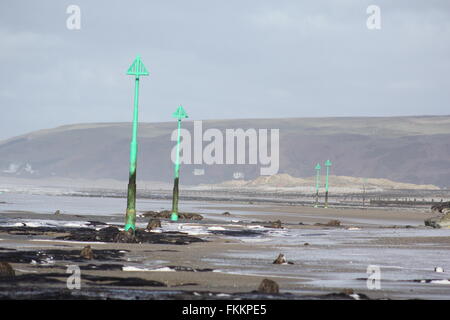 Borth, Ceredigion, Wales. 9. März 2016. UK-Wetter: Einen versteinerten Wald wieder erscheint nach den letzten Stürme & Treibsand, Hunderte von Baumstümpfen stammt aus der Bronzezeit vor 6.000 Jahren zu offenbaren. die Stümpfe steigen aus dem Sand wie abgebrochene Zähne! Bildnachweis: mike Davies/Alamy Live News Stockfoto