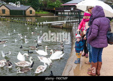 Eine junge Familie füttern die Enten an einem verregneten Tag bei Roundhay Park, Leeds, Yorkshire UK Stockfoto